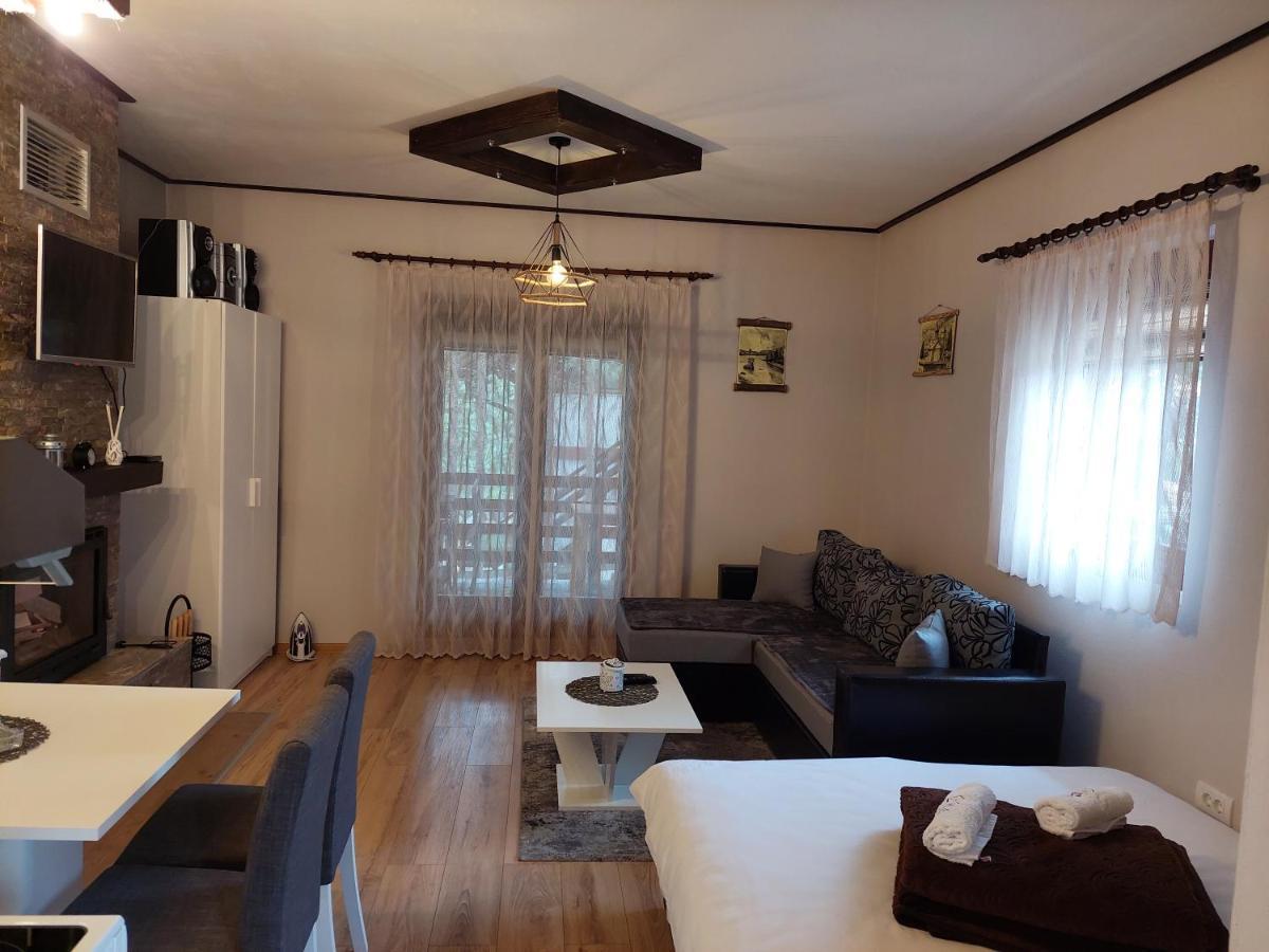 Vila Mina Kaluđerske Bare Extérieur photo